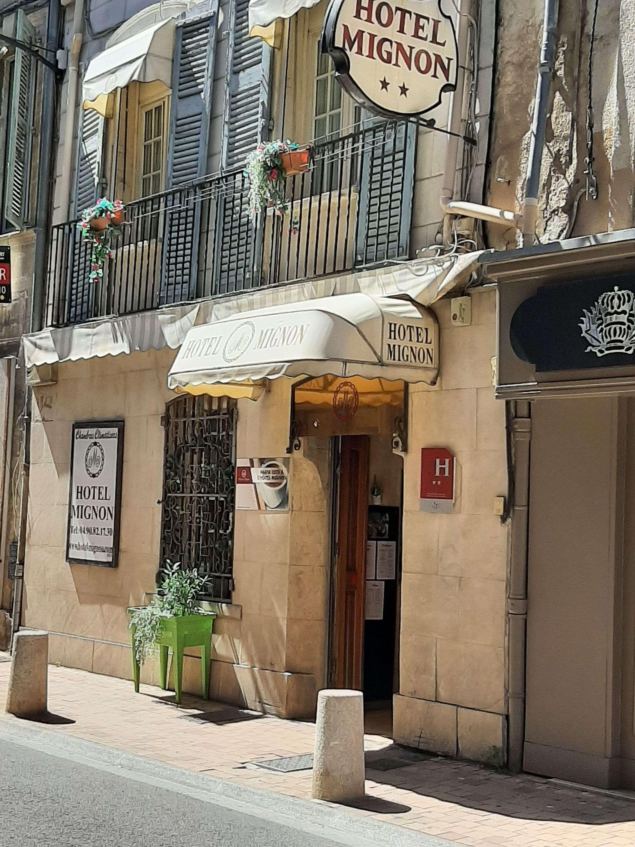 Mignon Avignon